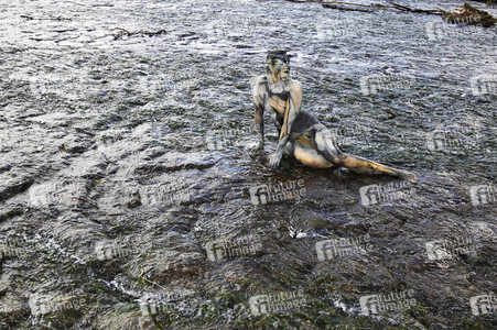 NATURE ART: Wehr / Weir Bodypainting