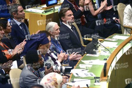35. International Day of Peace bei der UN in New York
