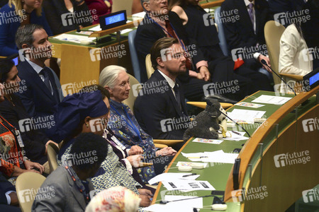 35. International Day of Peace bei der UN in New York