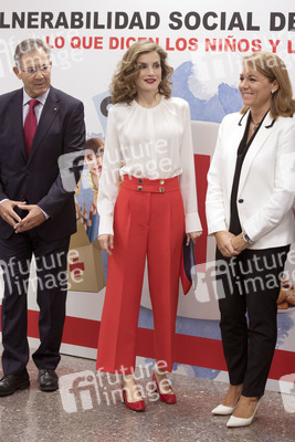 Red Cross Fundraising Day in Madrid