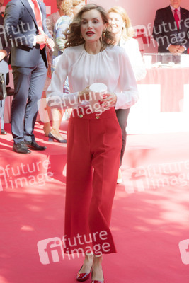 Red Cross Fundraising Day in Madrid