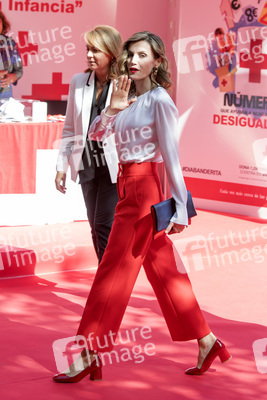 Red Cross Fundraising Day in Madrid
