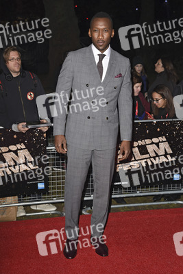 'Moonlight' Premiere, BFI London Film Festival 2016