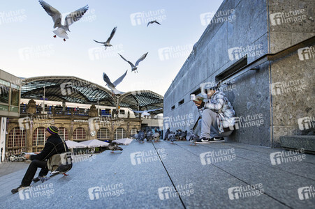 Symbolfoto Taubenfüttern