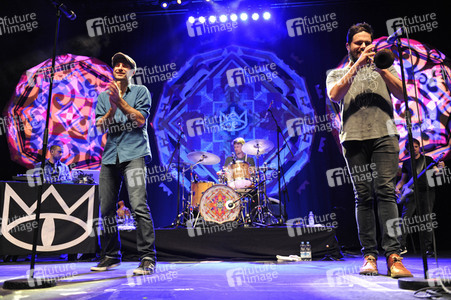 Konzert von The Cat Empire in Hamburg