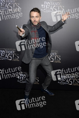 Filmpremiere 'Phantastische Tierwesen und wo sie zu finden sind' in New York