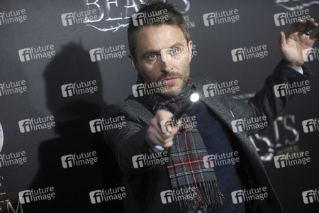 Filmpremiere 'Phantastische Tierwesen und wo sie zu finden sind' in New York