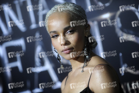 Filmpremiere 'Phantastische Tierwesen und wo sie zu finden sind' in New York