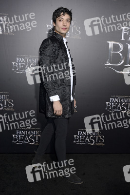 Filmpremiere 'Phantastische Tierwesen und wo sie zu finden sind' in New York