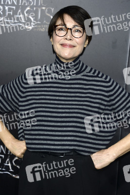Filmpremiere 'Phantastische Tierwesen und wo sie zu finden sind' in New York