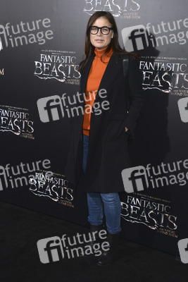 Filmpremiere 'Phantastische Tierwesen und wo sie zu finden sind' in New York