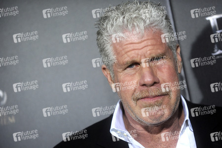Filmpremiere 'Phantastische Tierwesen und wo sie zu finden sind' in New York