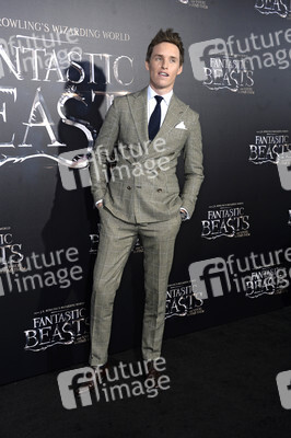 Filmpremiere 'Phantastische Tierwesen und wo sie zu finden sind' in New York