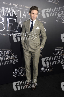 Filmpremiere 'Phantastische Tierwesen und wo sie zu finden sind' in New York