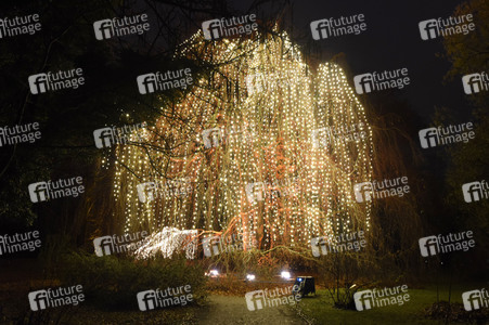 Eröffnung des 'Christmas Garden Berlin' 2016 in Berlin