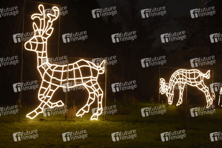 Eröffnung des 'Christmas Garden Berlin' 2016 in Berlin