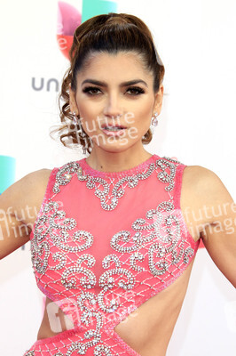 17. Latin Grammy Awards in Las Vegas