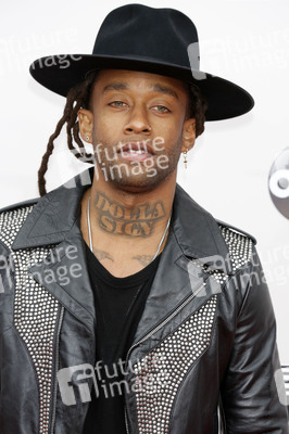 American Music Awards 2016 in Los Angeles