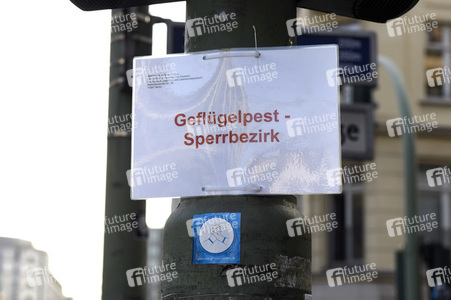 Geflügelpest in Berlin