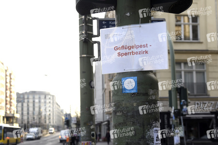 Geflügelpest in Berlin