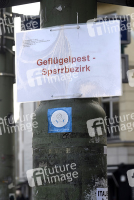 Geflügelpest in Berlin