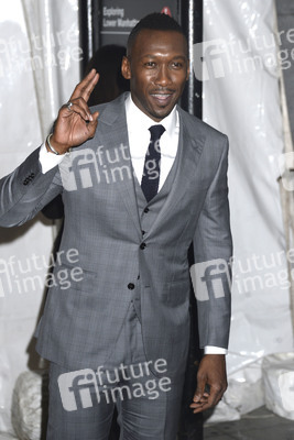 Gotham Independent Film Awards 2016 in New York