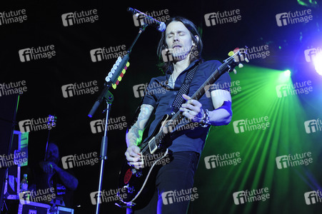 Alter Bridge