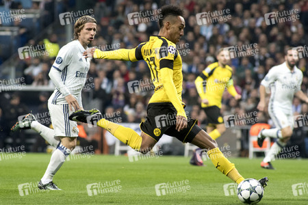 Champions League Match Real Madrid vs Borussia Dortmund in Madrid