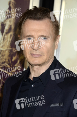 Filmpremiere 'Sieben Minuten nach Mitternacht' in New York