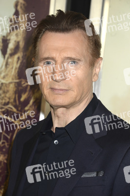 Filmpremiere 'Sieben Minuten nach Mitternacht' in New York