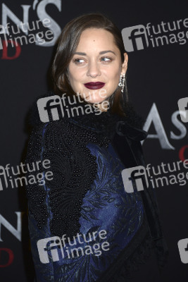 Special Screening 'Assassin's Creed' in New York