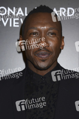 National Board of Review Gala 2016 in New York