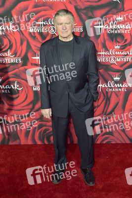 Hallmark Channel und Hallmark Movies and Mysteries Winter 2017 TCA Press Tour in Pasadena