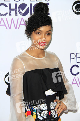 People's Choice Awards 2017 in Los Angeles
