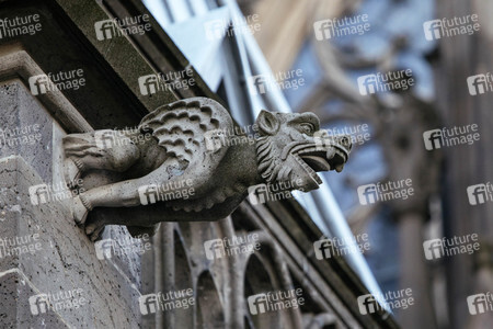 Wasserspeier am Kölner Dom