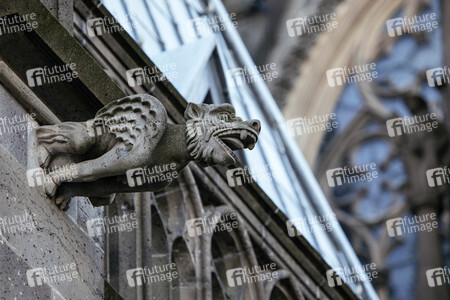 Wasserspeier am Kölner Dom