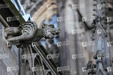 Wasserspeier am Kölner Dom