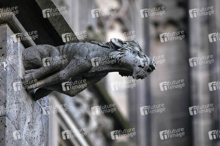Wasserspeier am Kölner Dom