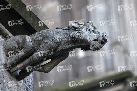 Wasserspeier am Kölner Dom