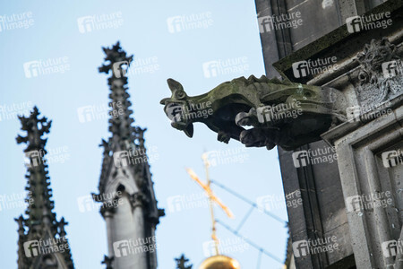 Wasserspeier am Kölner Dom
