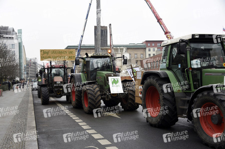 Demonstration 'Wir haben es Satt!' in Berlin