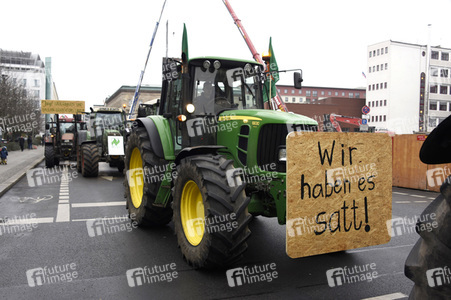 Demonstration 'Wir haben es Satt!' in Berlin