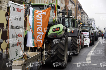 Demonstration 'Wir haben es Satt!' in Berlin
