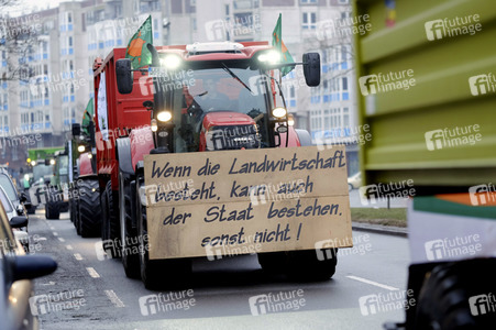 Demonstration 'Wir haben es Satt!' in Berlin
