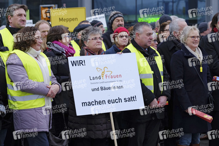 Demonstration 'Wir haben es Satt!' in Berlin