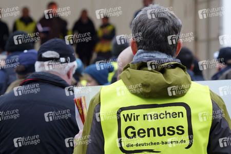 Demonstration 'Wir haben es Satt!' in Berlin