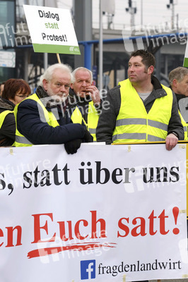 Demonstration 'Wir haben es Satt!' in Berlin