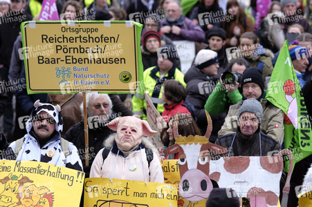 Demonstration 'Wir haben es Satt!' in Berlin