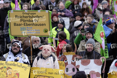 Demonstration 'Wir haben es Satt!' in Berlin