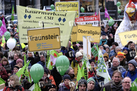Demonstration 'Wir haben es Satt!' in Berlin